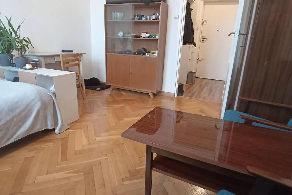 Entire Studio In The City Center Apartment Warsaw